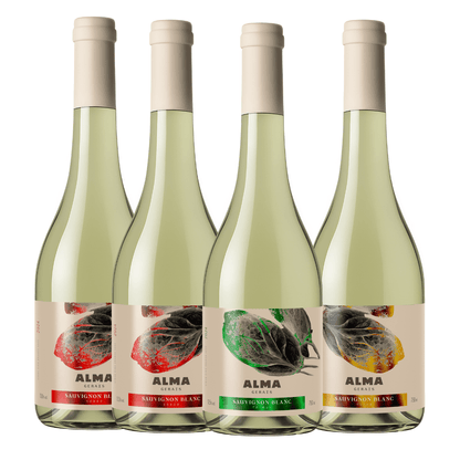 Kit Universo Sauvignon Blanc