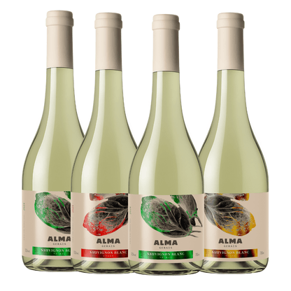 Kit Universo Sauvignon Blanc