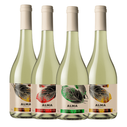 Kit Universo Sauvignon Blanc